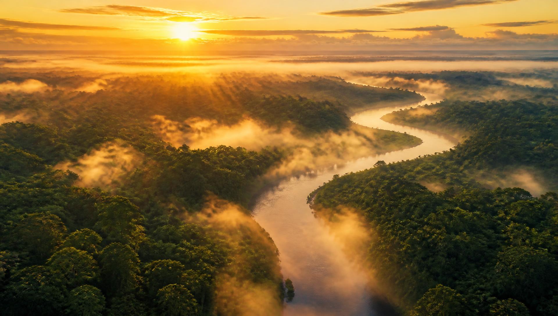 Amanhecer aéreo sobre a floresta amazônica com névoa dourada e um rio sinuoso